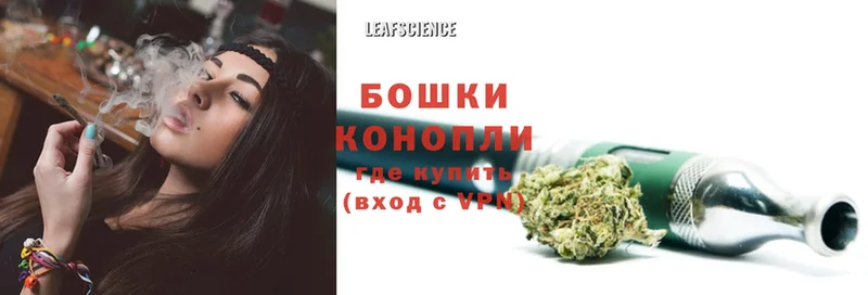 Бошки марихуана SATIVA & INDICA  Верхняя Тура 